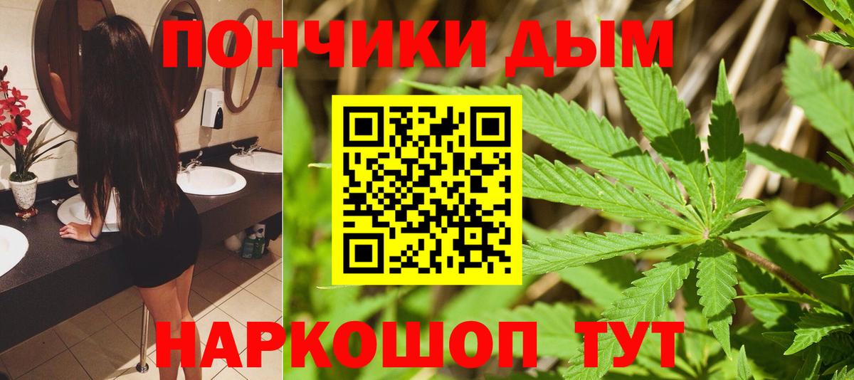 Бошки Шишки марихуана Мончегорск